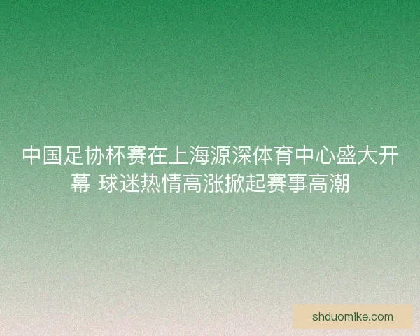 中国足协杯赛在上海源深体育中心盛大开幕 球迷热情高涨掀起赛事高潮
